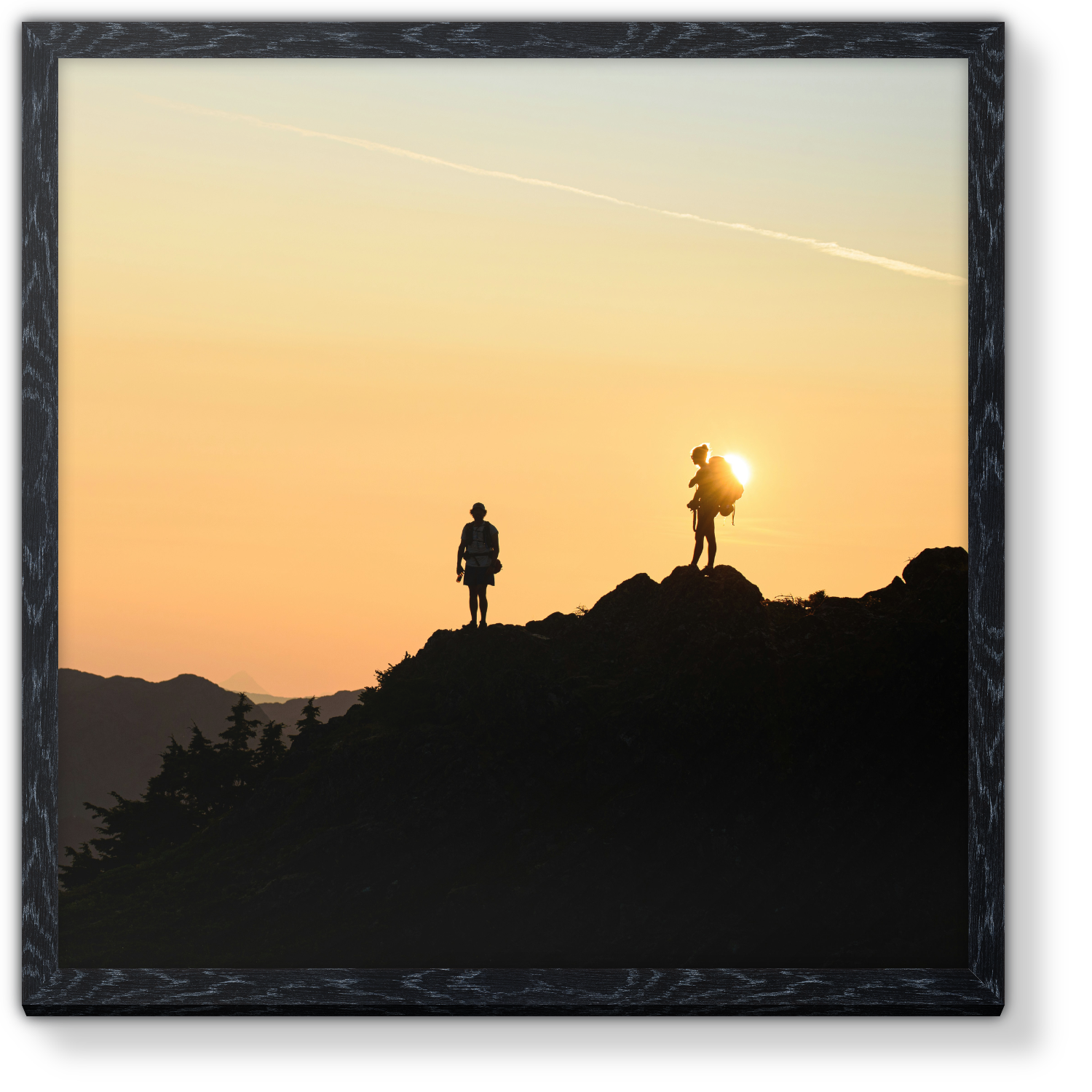 Bold Black Oak Frame