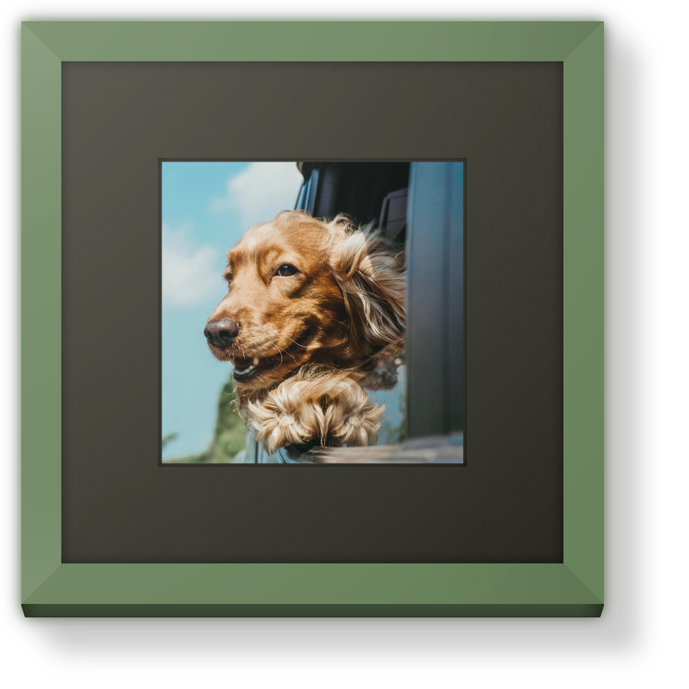 Vibrant Green Frame